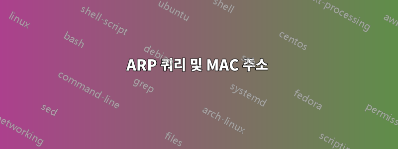ARP 쿼리 및 MAC 주소