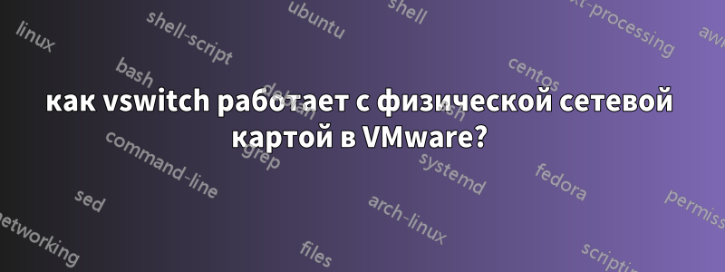 как vswitch работает с физической сетевой картой в VMware?