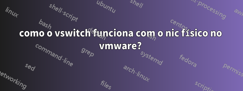 como o vswitch funciona com o nic físico no vmware?
