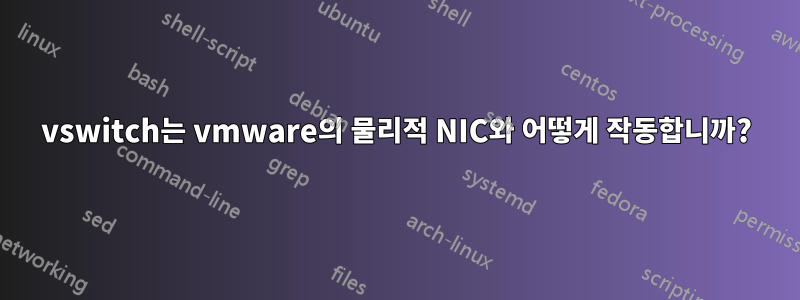 vswitch는 vmware의 물리적 NIC와 어떻게 작동합니까?
