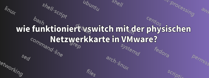 wie funktioniert vswitch mit der physischen Netzwerkkarte in VMware?