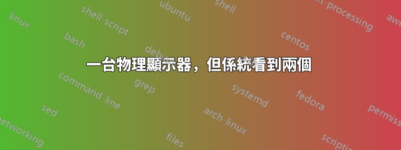 一台物理顯示器，但係統看到兩個