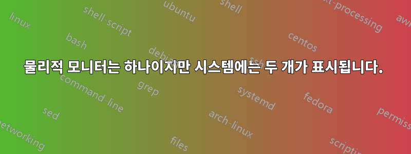 물리적 모니터는 하나이지만 시스템에는 두 개가 표시됩니다.