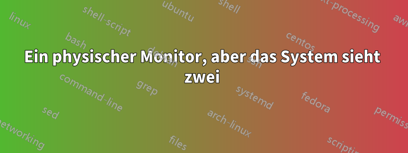 Ein physischer Monitor, aber das System sieht zwei