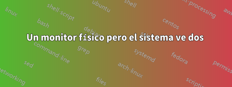 Un monitor físico pero el sistema ve dos