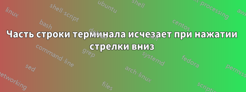 Часть строки терминала исчезает при нажатии стрелки вниз