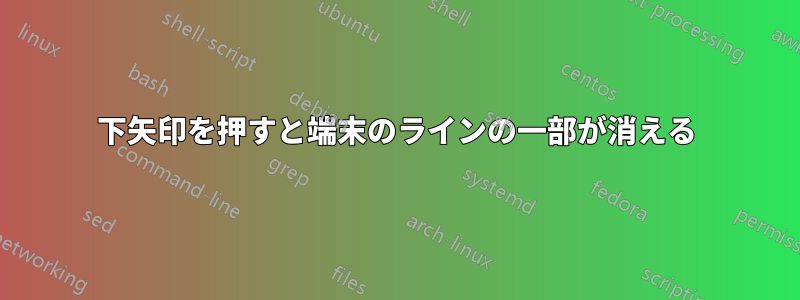 下矢印を押すと端末のラインの一部が消える