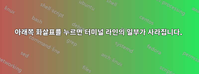 아래쪽 화살표를 누르면 터미널 라인의 일부가 사라집니다.