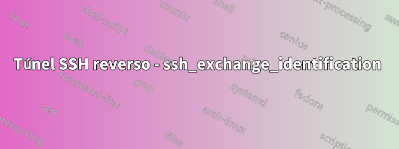 Túnel SSH reverso - ssh_exchange_identification