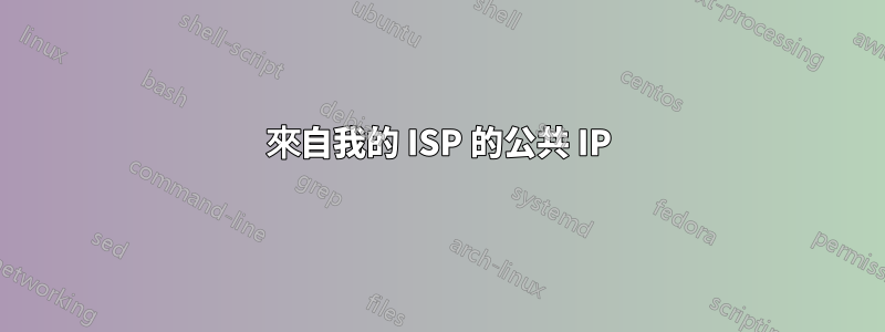 來自我的 ISP 的公共 IP