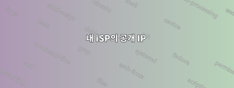 내 ISP의 공개 IP