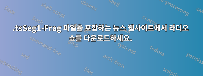 .tsSeg1-Frag 파일을 포함하는 뉴스 웹사이트에서 라디오 쇼를 다운로드하세요.