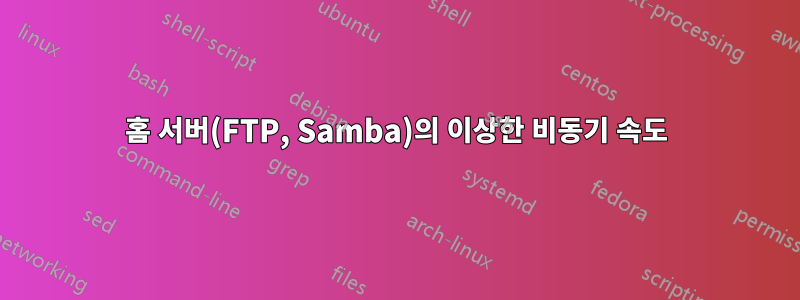 홈 서버(FTP, Samba)의 이상한 비동기 속도