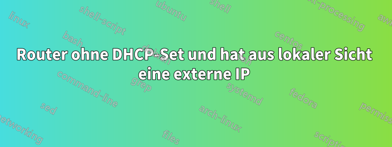 Router ohne DHCP-Set und hat aus lokaler Sicht eine externe IP
