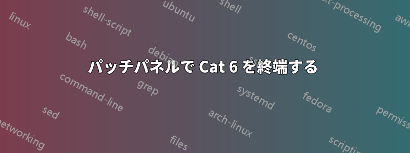 パッチパネルで Cat 6 を終端する