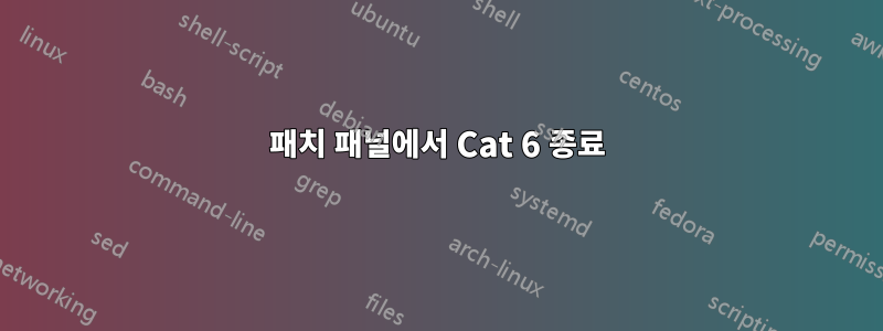 패치 패널에서 Cat 6 종료