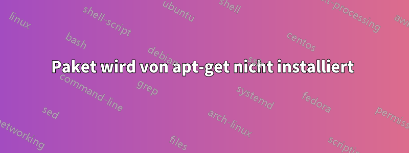 Paket wird von apt-get nicht installiert