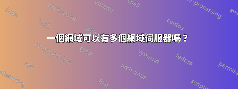 一個網域可以有多個網域伺服器嗎？