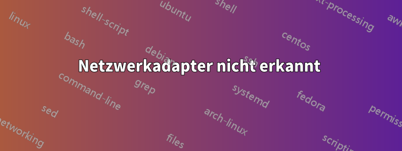 Netzwerkadapter nicht erkannt