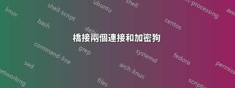 橋接兩個連接和加密狗
