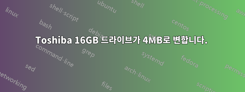 Toshiba 16GB 드라이브가 4MB로 변합니다.