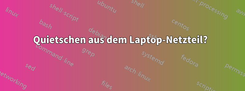 Quietschen aus dem Laptop-Netzteil? 