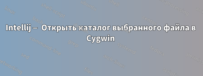 Intellij — Открыть каталог выбранного файла в Cygwin