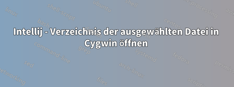 Intellij - Verzeichnis der ausgewählten Datei in Cygwin öffnen