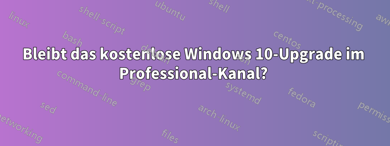 Bleibt das kostenlose Windows 10-Upgrade im Professional-Kanal?