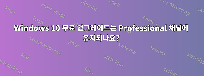 Windows 10 무료 업그레이드는 Professional 채널에 유지되나요?