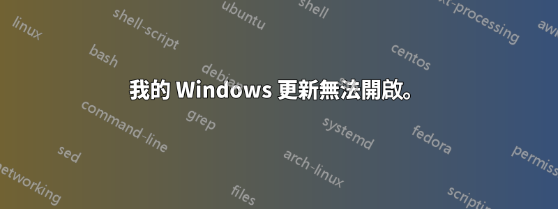 我的 Windows 更新無法開啟。