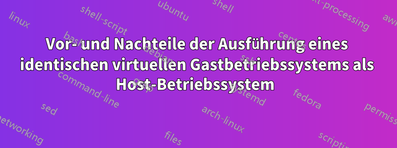 Vor- und Nachteile der Ausführung eines identischen virtuellen Gastbetriebssystems als Host-Betriebssystem 