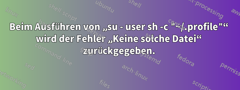 Beim Ausführen von „su - user sh -c "~/.profile"“ wird der Fehler „Keine solche Datei“ zurückgegeben.