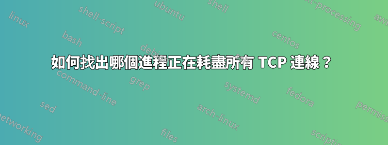 如何找出哪個進程正在耗盡所有 TCP 連線？