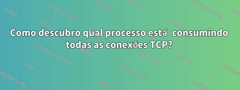 Como descubro qual processo está consumindo todas as conexões TCP?