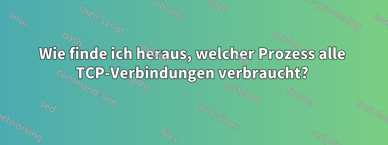 Wie finde ich heraus, welcher Prozess alle TCP-Verbindungen verbraucht?