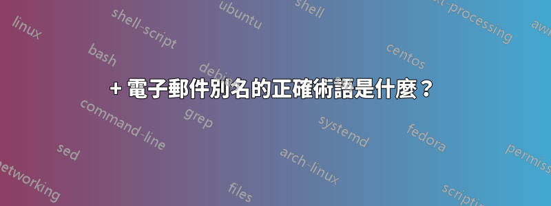 + 電子郵件別名的正確術語是什麼？