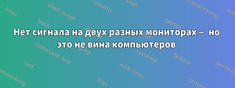 Нет сигнала на двух разных мониторах — но это не вина компьютеров