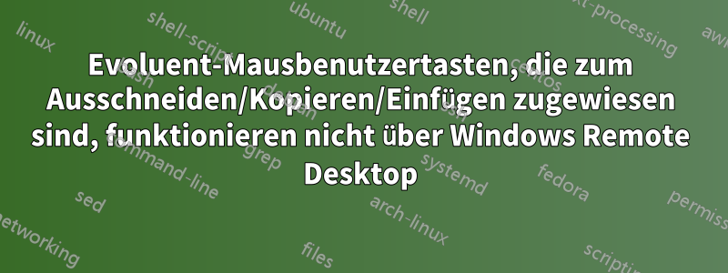 Evoluent-Mausbenutzertasten, die zum Ausschneiden/Kopieren/Einfügen zugewiesen sind, funktionieren nicht über Windows Remote Desktop