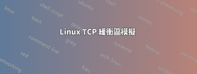 Linux TCP 緩衝區模擬