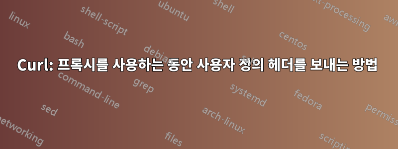 Curl: 프록시를 사용하는 동안 사용자 정의 헤더를 보내는 방법