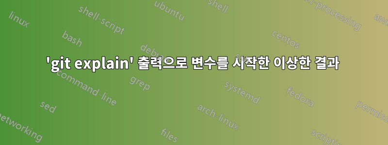 'git explain' 출력으로 변수를 시작한 이상한 결과