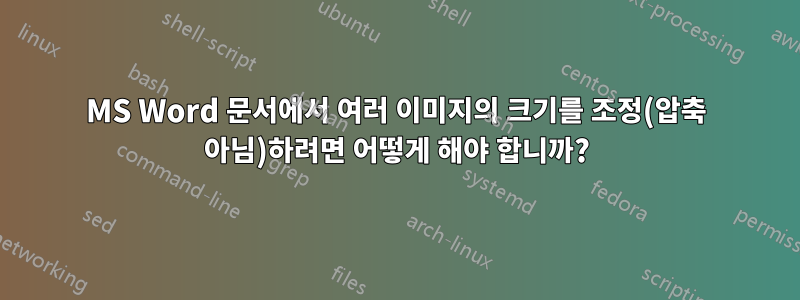 MS Word 문서에서 여러 이미지의 크기를 조정(압축 아님)하려면 어떻게 해야 합니까?