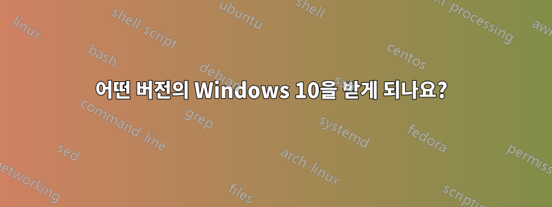 어떤 버전의 Windows 10을 받게 되나요? 