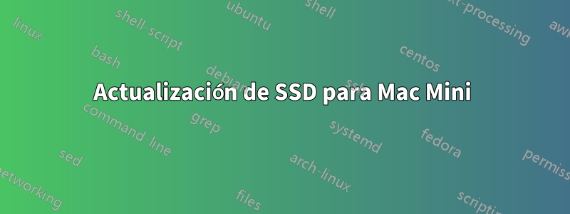 Actualización de SSD para Mac Mini