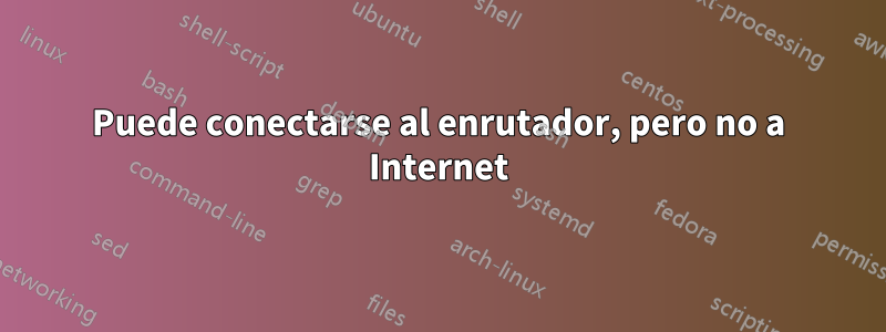 Puede conectarse al enrutador, pero no a Internet