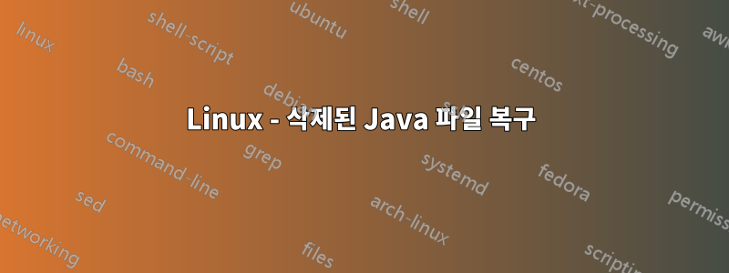 Linux - 삭제된 Java 파일 복구