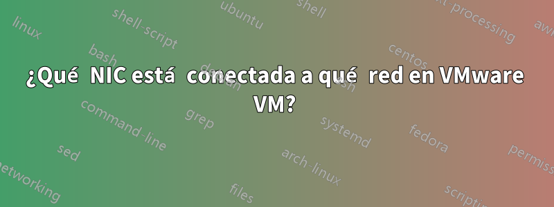 ¿Qué NIC está conectada a qué red en VMware VM?