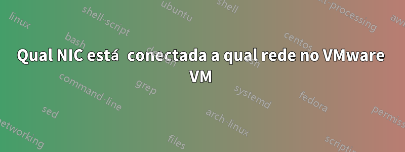 Qual NIC está conectada a qual rede no VMware VM