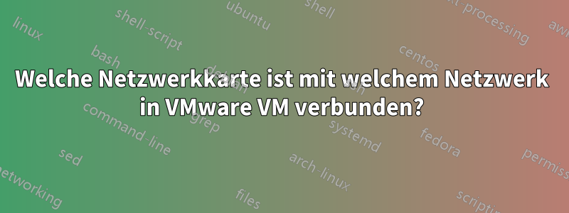 Welche Netzwerkkarte ist mit welchem ​​Netzwerk in VMware VM verbunden?